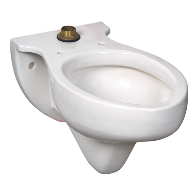 American Standard Rapidway Elongated Toilet Bowl (Seat Not Included) Wayfair Canada